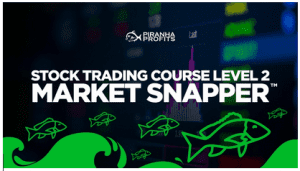 Piranhaprofits - Stock Trading Course Level 2