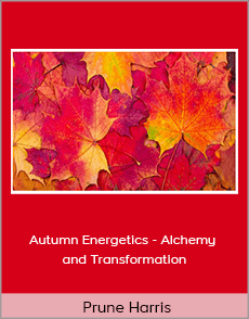 Prune Harris - Autumn Energetics - Alchemy and Transformation