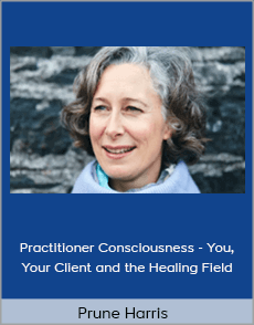 Prune Harris - Practitioner Consciousness - You, Your Client and the Healing Field