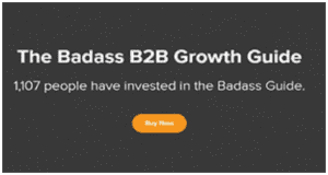 Sales DNA - The Badass B2B Growth Guide