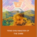 Sapien Medicine - FENG SHUI MASTER OF THE SHIRE