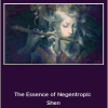 Sapien Medicine - The Essence of Negentropic Shen