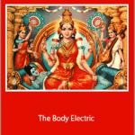 Sarah LaFleur - The Body Electric