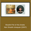 Shaolin Fist of the Snake - Nan Shaolin shequan (2007)