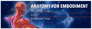 Sue Morter - Anatomy For Embodiment 2022