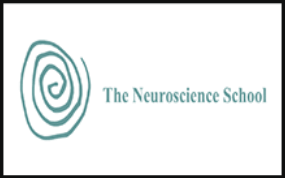 The Neuroscience School - Work with Your Brain, Not against Your Brain Part 1