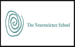 The Neuroscience School - Work with Your Brain, Not against Your Brain Part 2