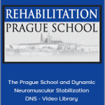 The Prague School and Dynamic Neuromuscular Stabilization - DNS - Video Library