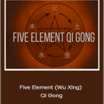 Tom Bisio - Five Element (Wu Xing) Qi Gong