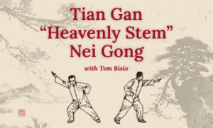 Tom Bisio and Valerie Ghent - Tian Gan Nei Gong Online Learning Program