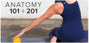 Tom Myers and Karin Gurtner - Anatomy 101 + Anatomy 201