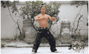 Wudang Muscles - changing Exercise to Direct the Body