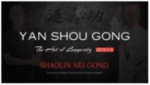 Yan Shou Gong - The Art of Longevity (Sets 1-6) Shaolin Nei Gong