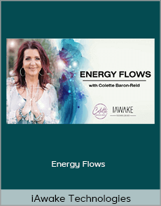 iAwake Technologies - Energy Flows