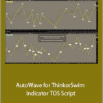 AutoWave for ThinkorSwim Indicator TOS Script