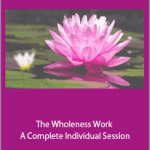 Connirae Andreas - The Wholeness Work A Complete Individual Session