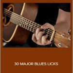 David Wallimann - 30 MAJOR BLUES LICKS