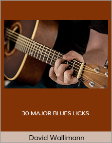 David Wallimann - 30 MAJOR BLUES LICKS