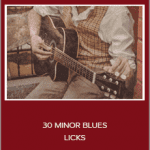 David Wallimann - 30 MINOR BLUES LICKS