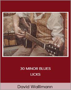 David Wallimann - 30 MINOR BLUES LICKS