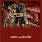 David Wallimann - BLUES JAMTRACKS