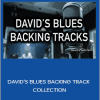 David Wallimann - DAVID’S BLUES BACKING TRACK COLLECTION