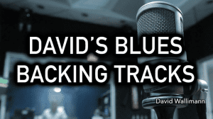 David Wallimann - DAVID’S BLUES BACKING TRACK COLLECTION