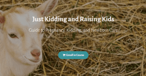 Deborah Niemann - Just Kidding and Raising Kids