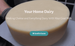 Deborah Niemann - Your Home Dairy