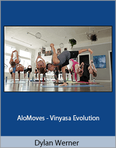 Dylan Werner - AloMoves - Vinyasa Evolution