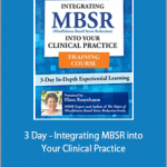 Elana Rosenbaum - 3 Day - Integrating MBSR into Your Clinical Practice