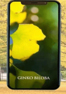Eric Thompson - Ginko Biloba
