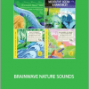 Jeffrey Thompson - BRAINWAVE NATURE SOUNDS