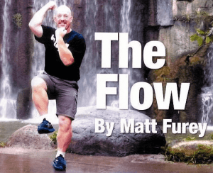 Matt Furey - The Flow I