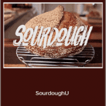 Michael Greenfield - SourdoughU