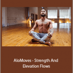 Patrick Beach - AloMoves - Strength And Elevation Flows