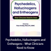 Peter H Addy - Psychedelics, Hallucinogens and Entheogens - What Clinicians Need to Know