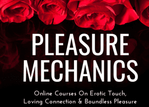 Pleasure Mechanics - Mindful Sex