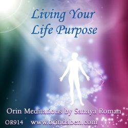 Sanaya and Orin - Living Your Life Purpose