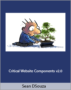 Sean D'Souza - Critical Website Components v2.0