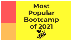 StockBee - Most Popular Bootcamp August 2021