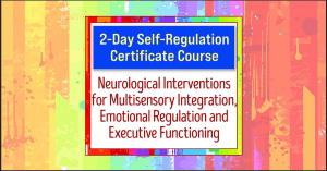 Varleisha D. Gibbs - 2-Day Self-Regulation Certificate Course: Neurological Interventions for Multisensory Integration, Emotional Regulation and Executive Functioning