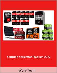 Wyse Team - YouTube Xcelerator Program 2022