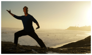 lee Holden - The Five Elements Qigong Online Program