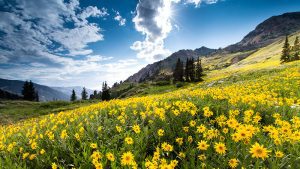 Adam Barker - Outdoor Photo School