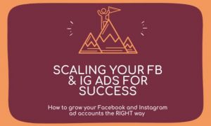 Andrew Foxwell - Scailing Facebook and Instagram Ads for Success