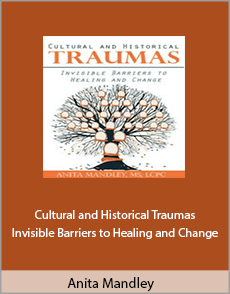 Anita Mandley - Cultural and Historical Traumas: Invisible Barriers to Healing and Change