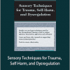 Brooke Wimer - Sensory Techniques for Trauma, Self-Harm, and Dysregulation