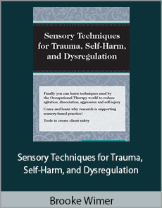 Brooke Wimer - Sensory Techniques for Trauma, Self-Harm, and Dysregulation