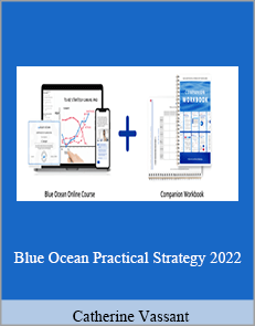 Catherine Vassant - Blue Ocean Practical Strategy 2022